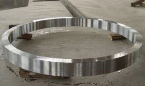 Inconel  783 / UNS R 30783  זיוף דיסק טבעת