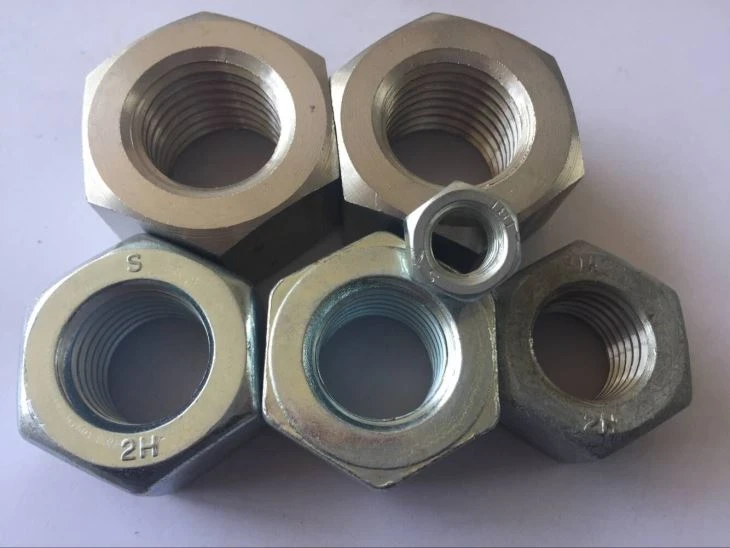 SS316 Bolt Nut